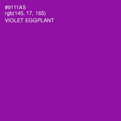 #9111A5 - Violet Eggplant Color Image