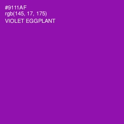 #9111AF - Violet Eggplant Color Image