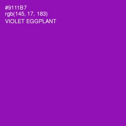 #9111B7 - Violet Eggplant Color Image