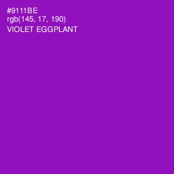 #9111BE - Violet Eggplant Color Image