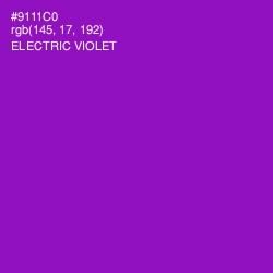 #9111C0 - Electric Violet Color Image