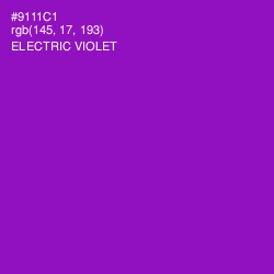 #9111C1 - Electric Violet Color Image