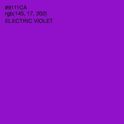 #9111CA - Electric Violet Color Image