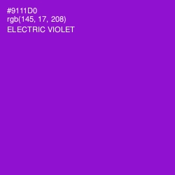 #9111D0 - Electric Violet Color Image