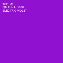 #9111D1 - Electric Violet Color Image