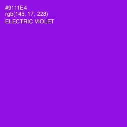 #9111E4 - Electric Violet Color Image
