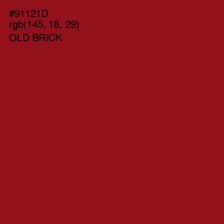 #91121D - Old Brick Color Image