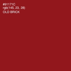 #91171C - Old Brick Color Image