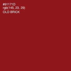 #91171D - Old Brick Color Image