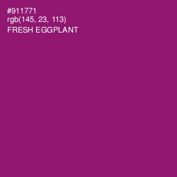 #911771 - Fresh Eggplant Color Image