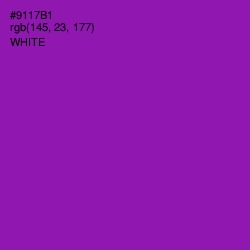 #9117B1 - Violet Eggplant Color Image