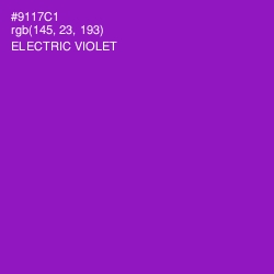 #9117C1 - Electric Violet Color Image