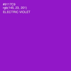 #9117C9 - Electric Violet Color Image