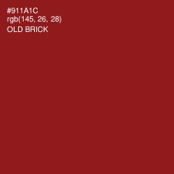 #911A1C - Old Brick Color Image