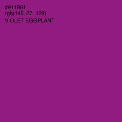 #911B81 - Violet Eggplant Color Image