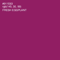 #911E63 - Fresh Eggplant Color Image