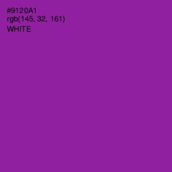 #9120A1 - Violet Eggplant Color Image