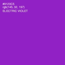 #9120C5 - Electric Violet Color Image