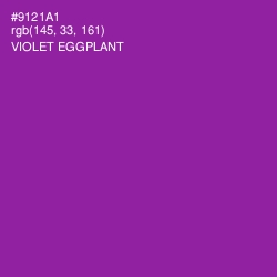 #9121A1 - Violet Eggplant Color Image