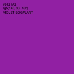 #9121A2 - Violet Eggplant Color Image