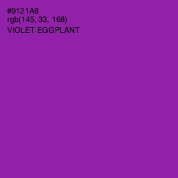 #9121A8 - Violet Eggplant Color Image