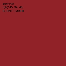 #912228 - Burnt Umber Color Image