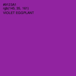 #9123A1 - Violet Eggplant Color Image