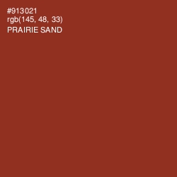 #913021 - Prairie Sand Color Image