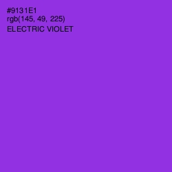 #9131E1 - Electric Violet Color Image