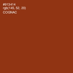 #913414 - Cognac Color Image