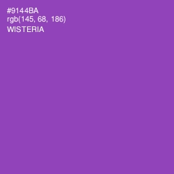 #9144BA - Wisteria Color Image