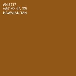 #915717 - Hawaiian Tan Color Image