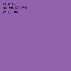 #9161AE - Wisteria Color Image