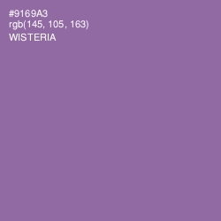 #9169A3 - Wisteria Color Image