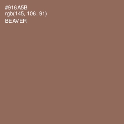 #916A5B - Beaver Color Image
