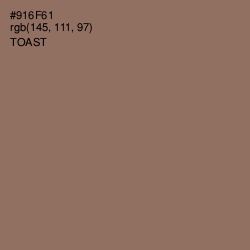 #916F61 - Toast Color Image