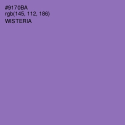 #9170BA - Wisteria Color Image