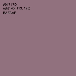 #91717D - Bazaar Color Image