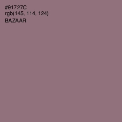 #91727C - Bazaar Color Image