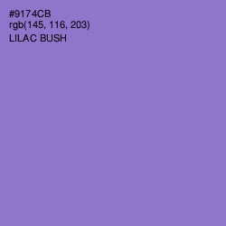 #9174CB - Lilac Bush Color Image