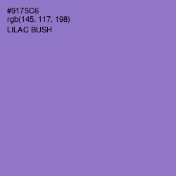 #9175C6 - Lilac Bush Color Image