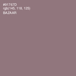 #91767D - Bazaar Color Image