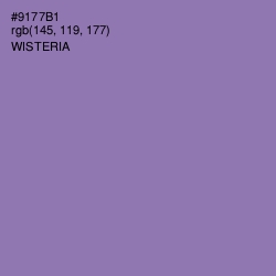 #9177B1 - Wisteria Color Image