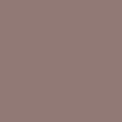 #917A76 - Hemp Color Image