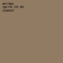 #917B63 - Cement Color Image