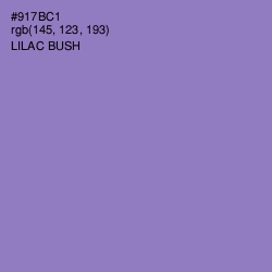 #917BC1 - Lilac Bush Color Image