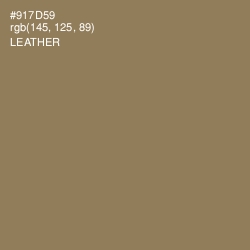 #917D59 - Leather Color Image