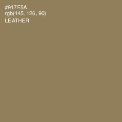 #917E5A - Leather Color Image