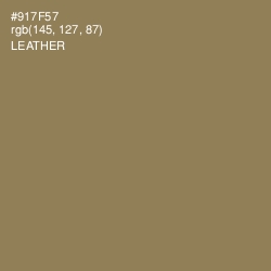 #917F57 - Leather Color Image