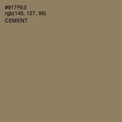 #917F63 - Cement Color Image
